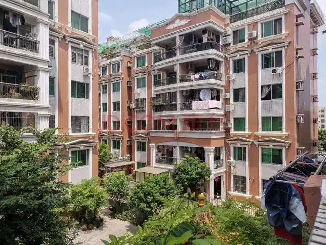 广州市番禺区洛浦街南浦岛碧桂园丽苑13座208,房源清单,广东易柏咨询