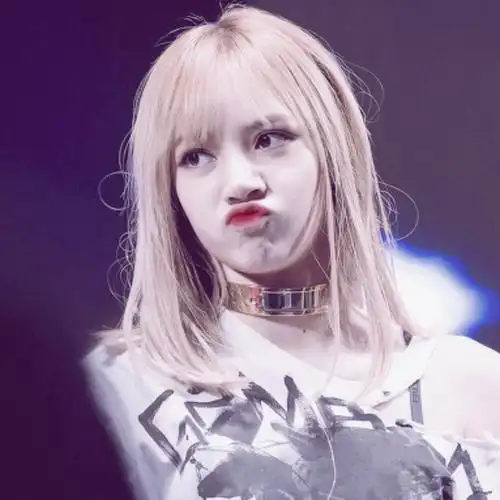 lisa头像/by沈灿阳