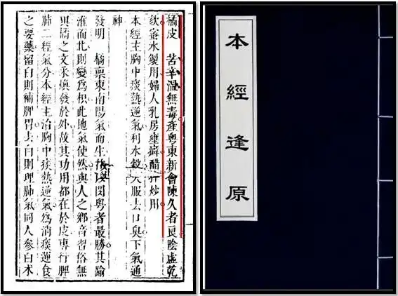 陈皮在我国有悠久的应用历史,被认为始载于东汉《神农本草经》,当时被