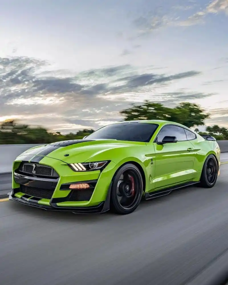 福特野马-谢尔比 眼镜蛇gt50097 ford mustang shelby gt50097