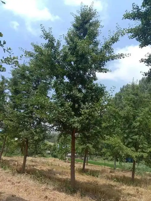 640_853竖版 竖屏