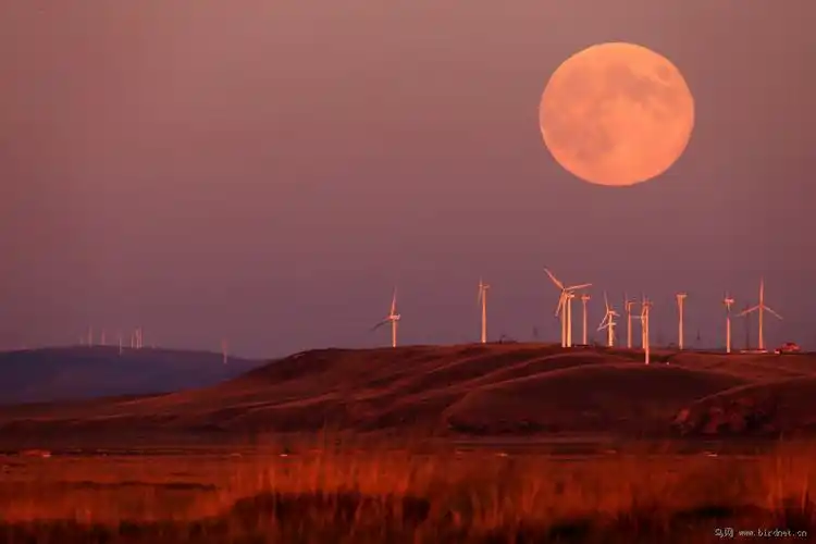 草原上升起的月亮