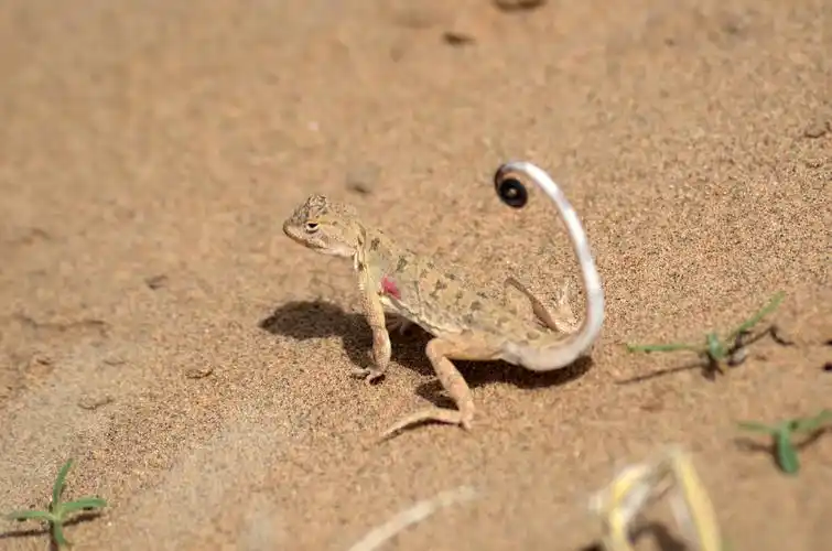 遇见宁夏在黄沙古渡用塞外情怀留住你