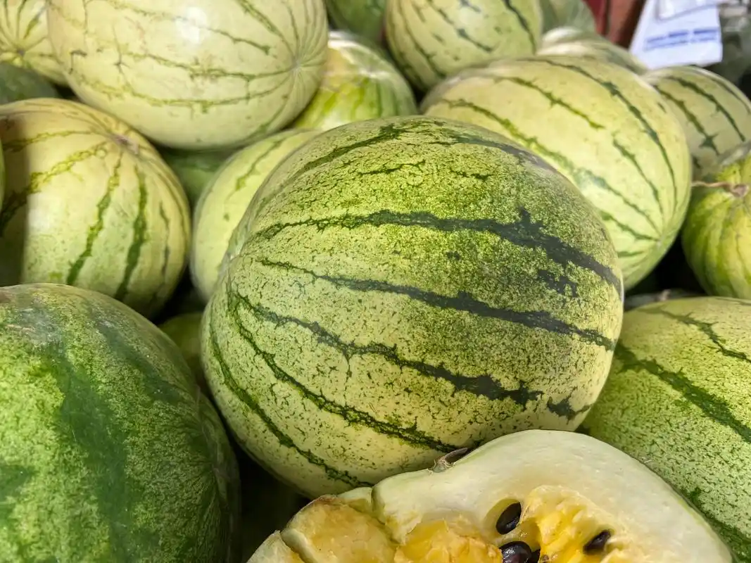 百家说动态# 旅# 大家现在看到的就是兰州特产籽