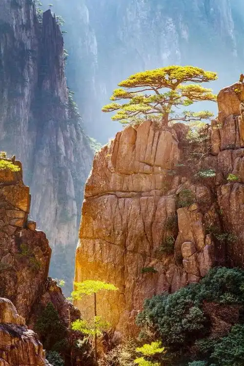 "中国最美的50个地方"榜单出炉!你打卡过几个?