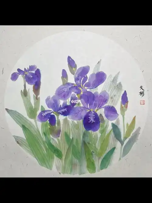 写生国画写意鸢尾花开