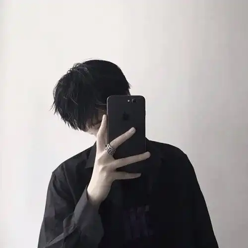 【微信头像】挡脸男