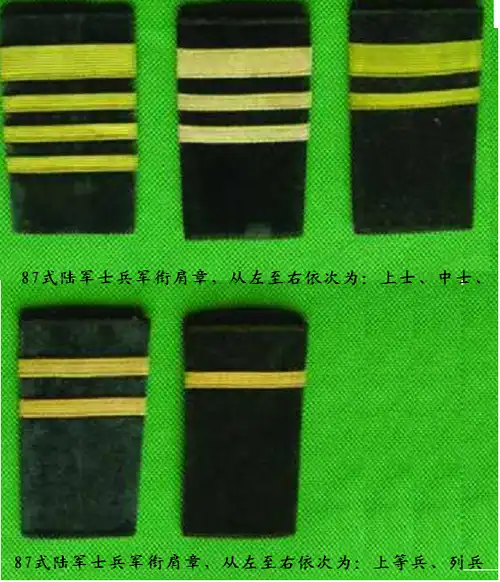 解放军87式陆军士兵和专业军士肩章