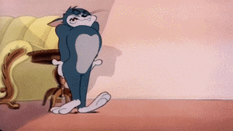 10当你以为只有动画里的猫,才会用两条腿走路.09乐.