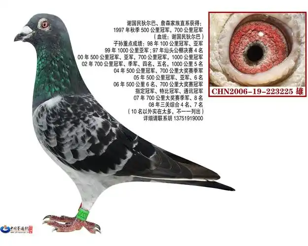 >> 查看拍卖商品