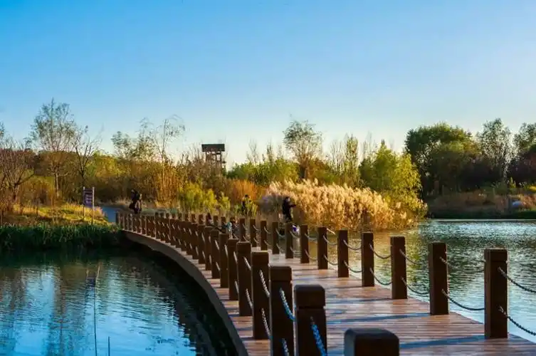 河南鹤壁生态淇河再现诗经美景