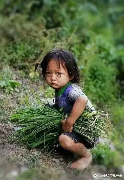 在同龄人还懵懂不知的年纪,一个4岁的小女孩,▽却用一生不离不弃.