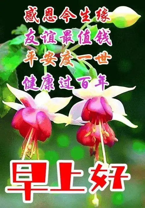 亲人朋友早上好祝福语图片大全免打字夏日清晨友谊早安问候语图片文字