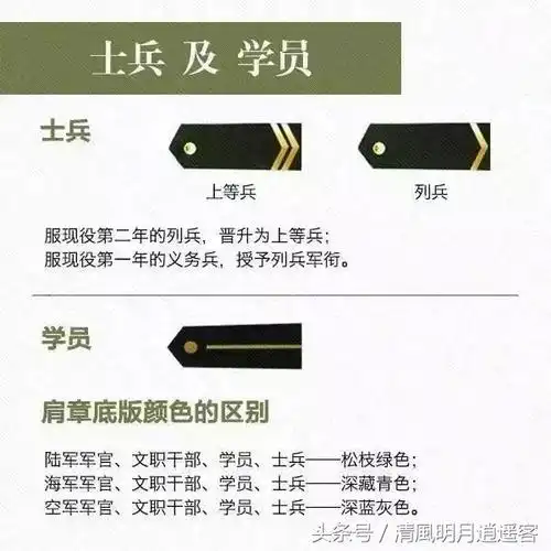 军衔肩章(团长是什么军衔肩章) - 泉兴百科