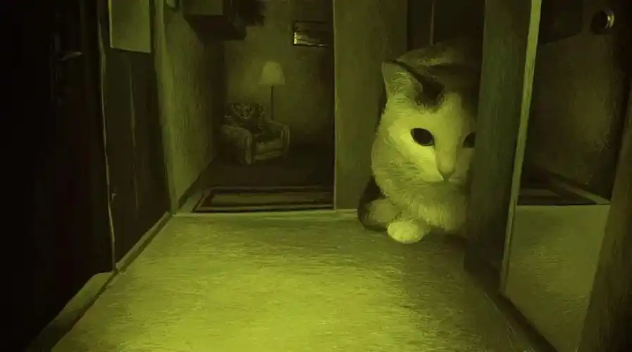 猫的凝视 / 两则恐怖漫