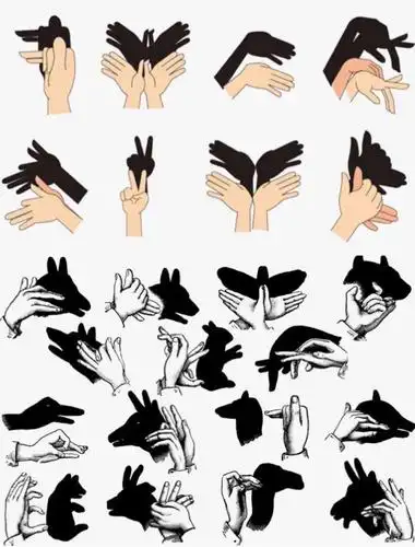 玩法:只要有灯光,就可以通过手势的变化,做出蜗牛,大象,兔子等的影子