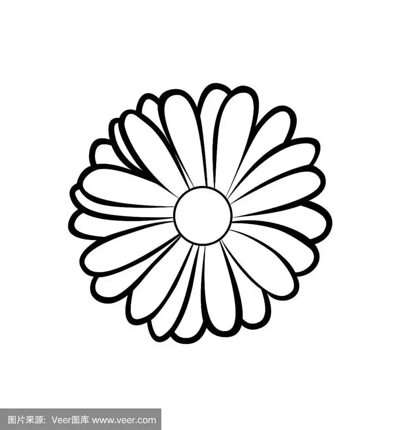 万寿菊的矢量插图