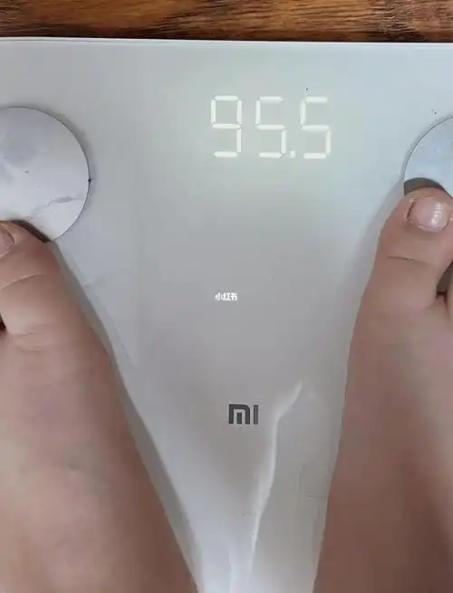 day51566原始体重:就算98斤吧今天体重:95.