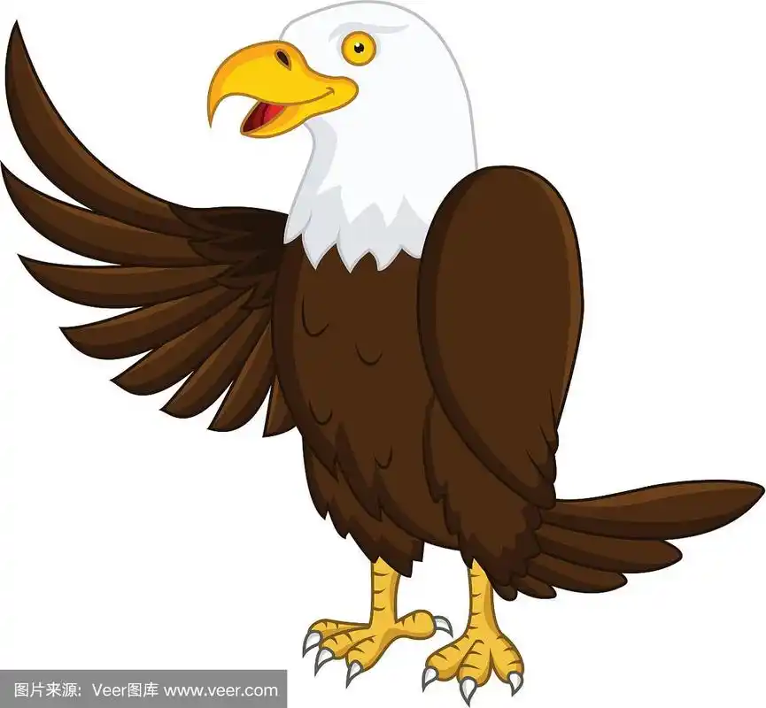 鹰卡通