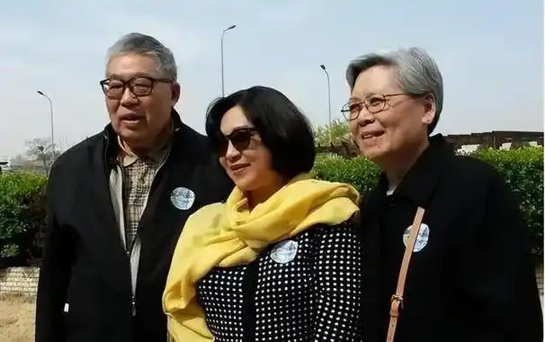 内地功夫女星现状丁岚情路坎坷两婚两离她二婚终获幸福