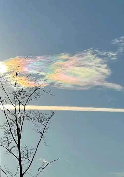 其它 康敏华的美篇:仰望天空2 写美篇七彩云放大图