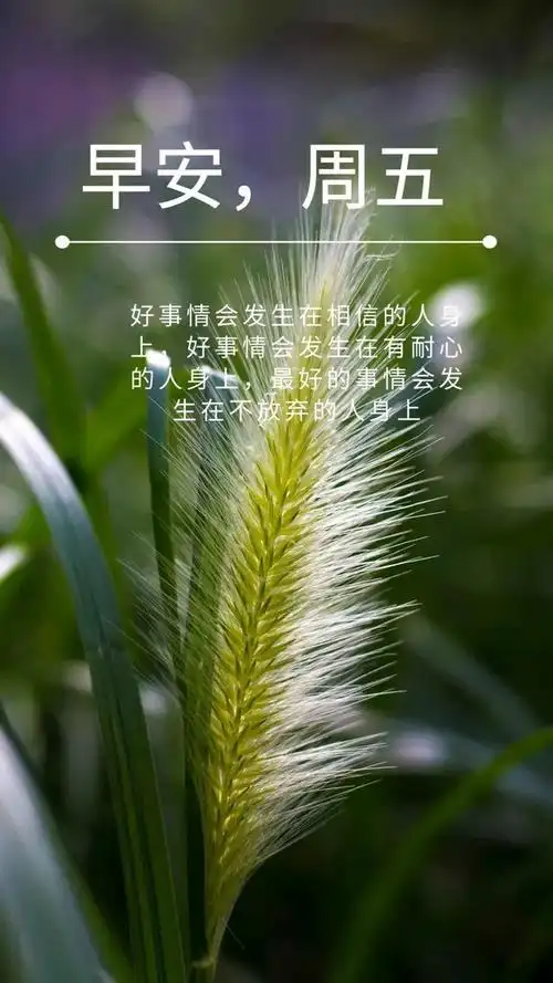 2021早安短句2021早安发圈句子及图片