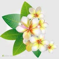 带着叶子的微信头像【点击鼠标右键下载】