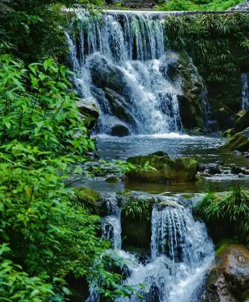 地点在白云沟,景区就在鸡冠山附近,白云沟被游客们称为天然氧吧,这里