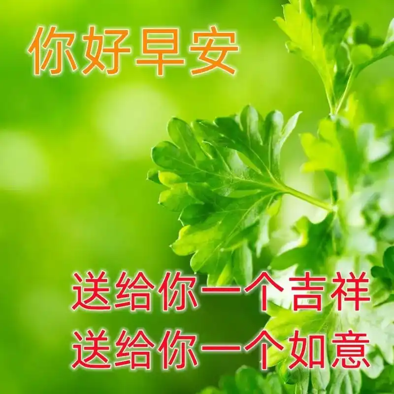 早安心语,清晨的第一缕阳光,为你的心灵吸走了前一天的疲惫