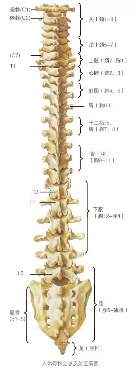 500_1363竖版 竖屏