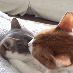 请跟我们走一趟表情包 - 请跟我们走一趟微信表情包 - 请跟我们走一趟