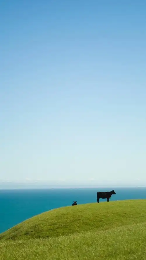 1200_2133竖版 竖屏