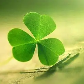 微信里有个树叶的头像 微信头像图片大全 -【爱个性】