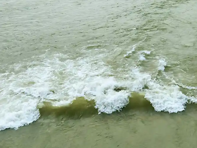 一条大河波浪宽(白菡原创)