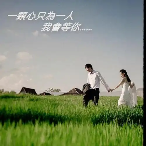 一颗心只爱一个人