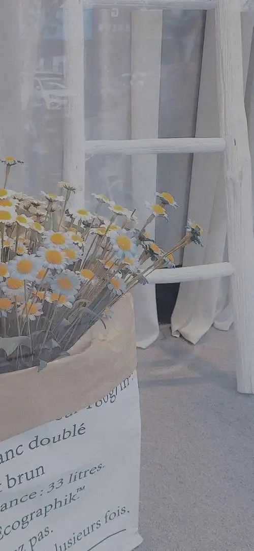 电脑壁纸ins风冷淡ins风电脑壁纸