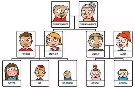 爷爷奶奶叫grandparent外公外婆应该叫什么