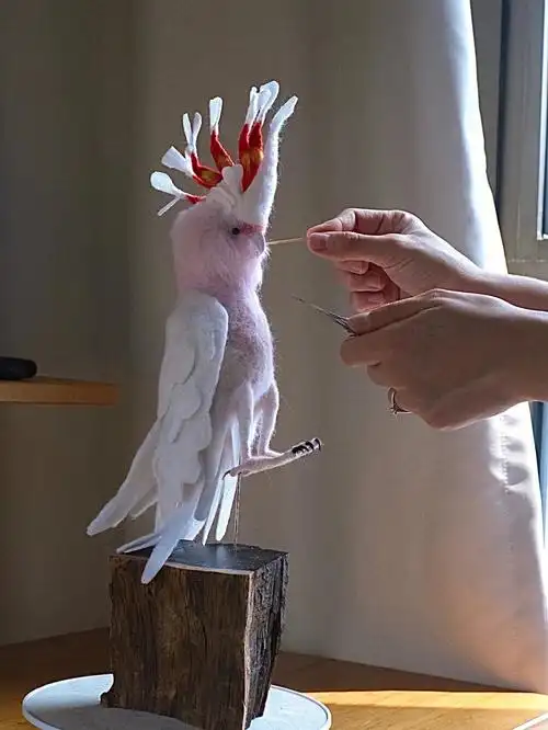 粉色鹦鹉制作过程之理发非活物