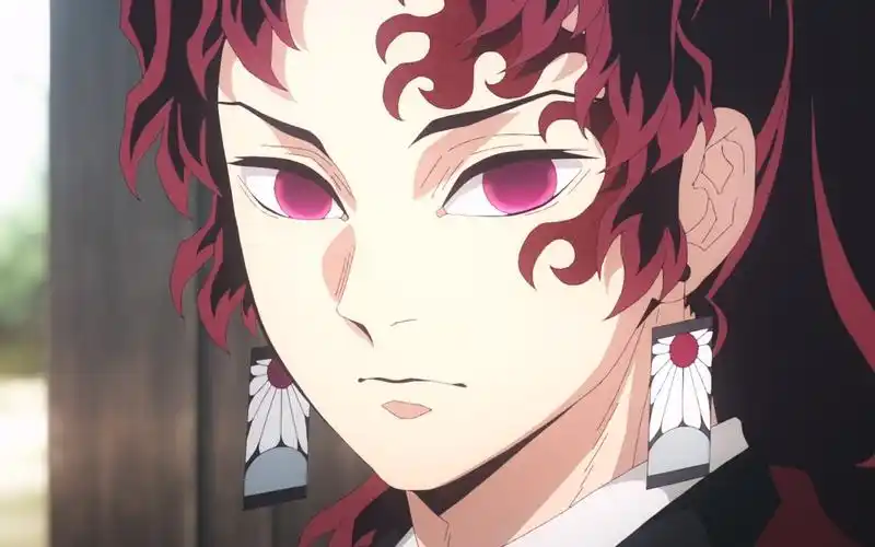 【鬼灭之刃 | 继国缘一】我亦飘零久