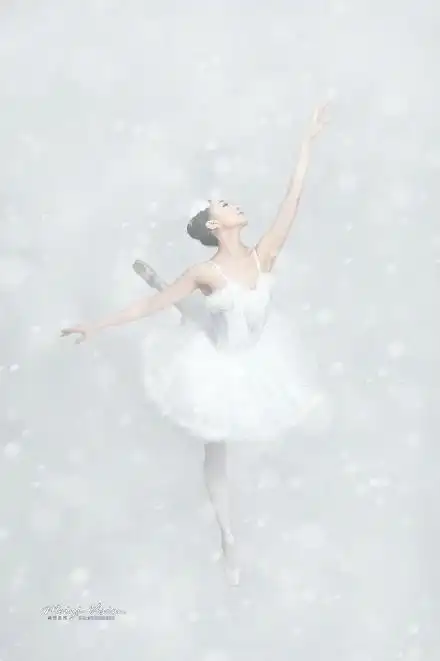 雪中跳芭蕾舞的极品绝色美女唯美纯白诱惑大胆艺术写真图集
