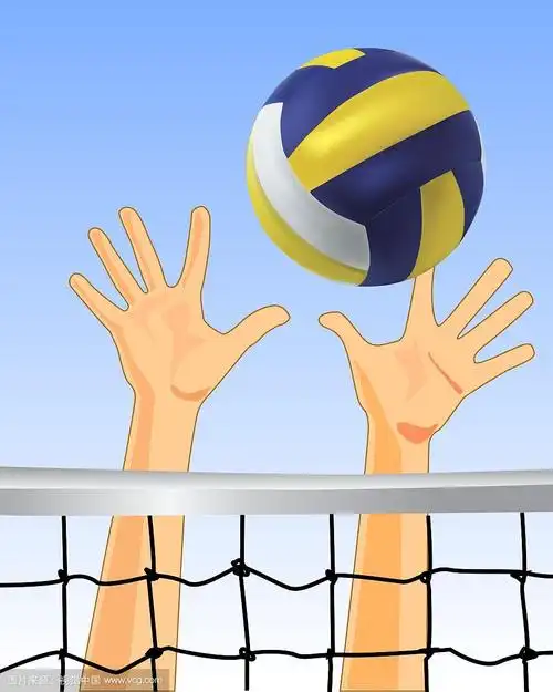 排球
