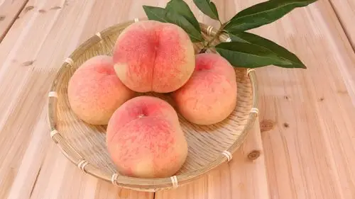 水果水蜜桃图片-花卉壁纸-高清花卉图片-第12图-娟娟壁纸