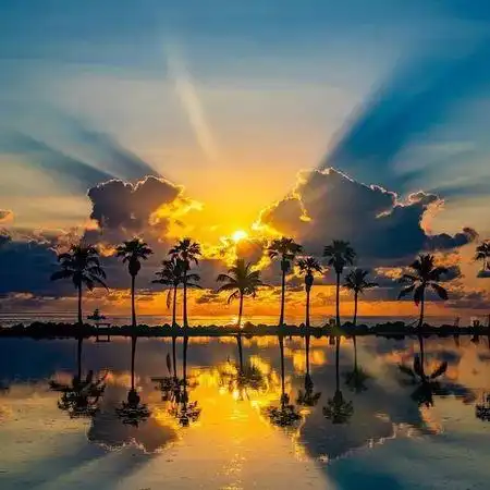 唯美的阳光微信头像-搜狐大视野-搜狐新闻