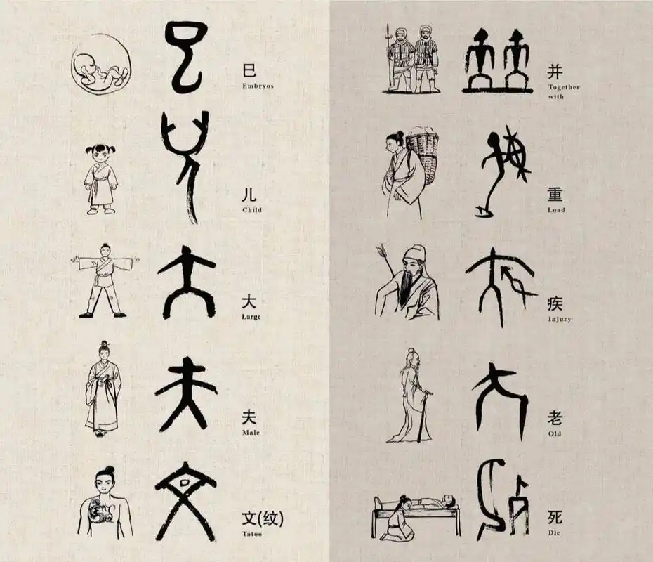 甲骨文中与人,与女相关的字