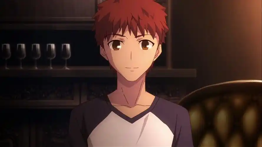 卫宫士郎,fate stay night