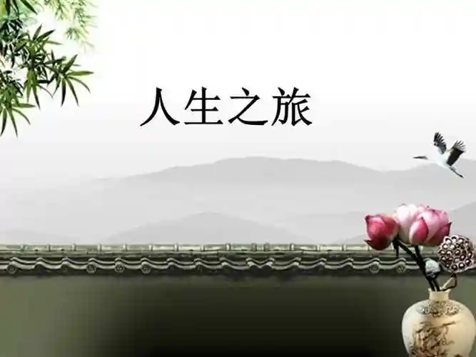 苏教版科学六年级下册13人生之旅课件2ppt
