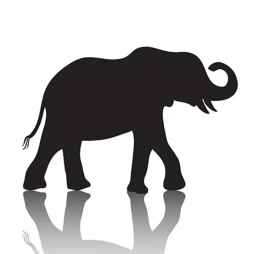 大象_剪影_矢量_影子_隔绝_白色背景_背景_高清图片_全景视觉