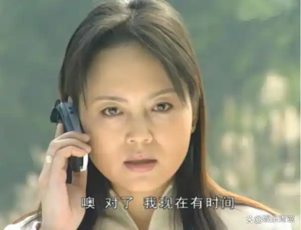 插翅难逃容易被忽视的这四个人他们对张世豪太重要