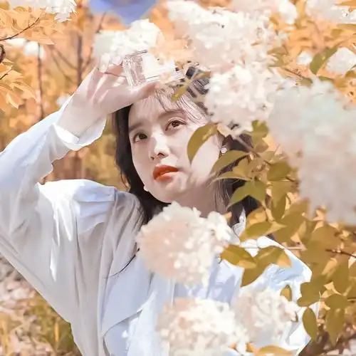 金智媛头像收藏单图食用