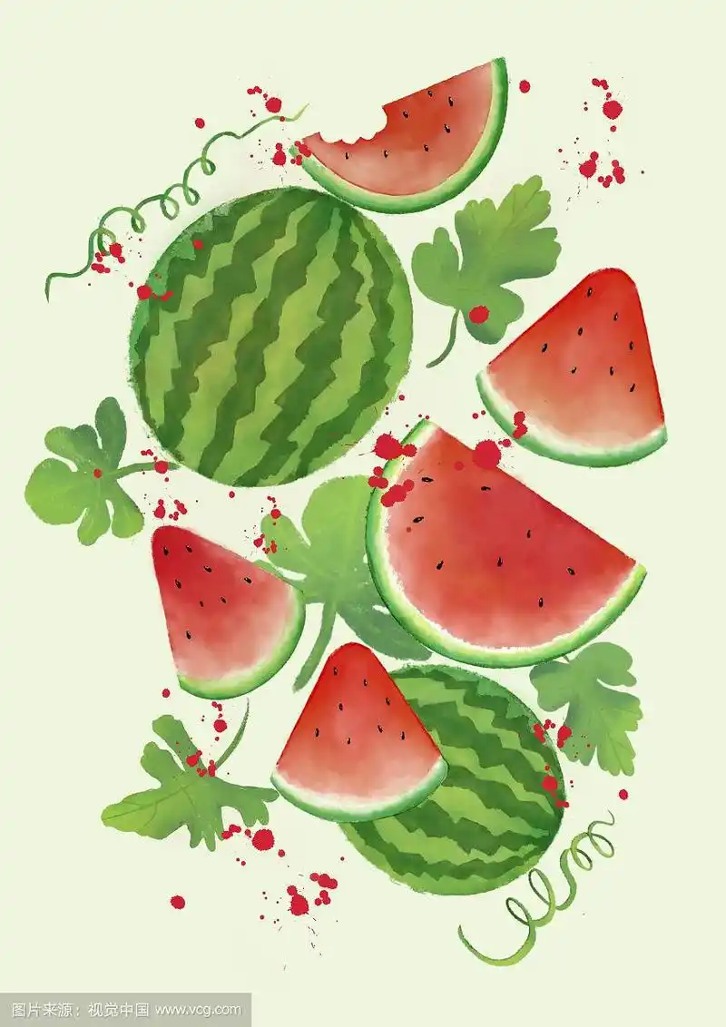 西瓜水彩插画